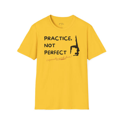 Practice Not Perfect T-Shirt
