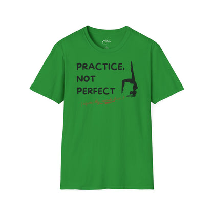 Practice Not Perfect T-Shirt